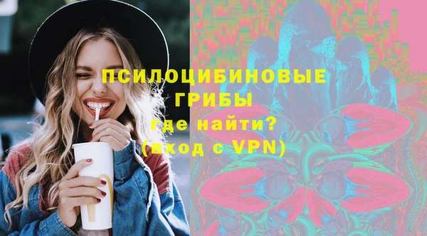 ECSTASY Абаза