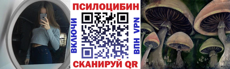 Галлюциногенные грибы Psilocybine cubensis  Алагир 